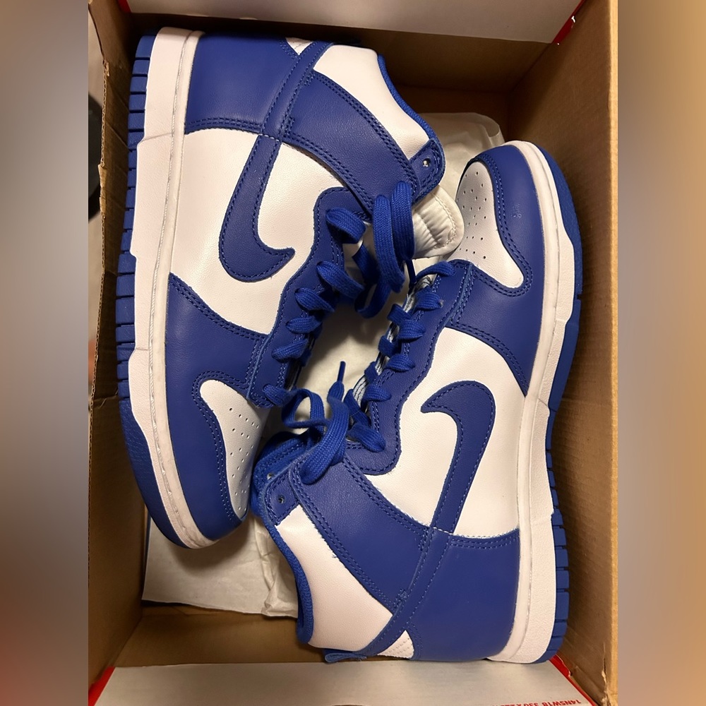 Brand new never worn Nike dunks